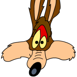 Wile E  Coyote  2