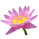 zgf128_2