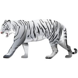 white_tiger 老虎