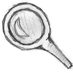 search 