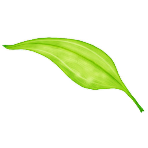green_leaf_01