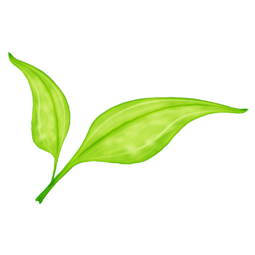 green_leaf_02