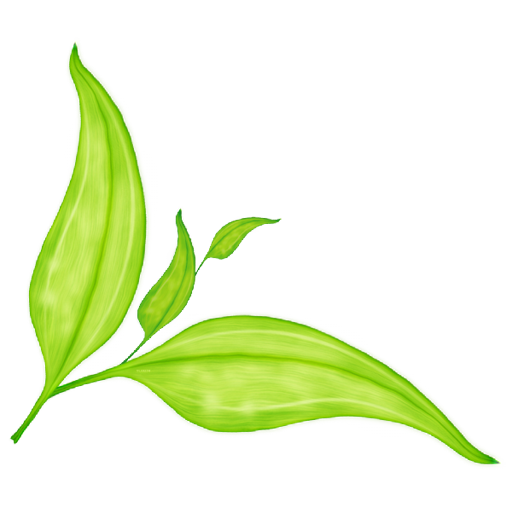 green_leaf_03