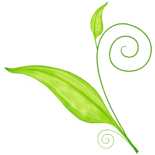 green_leaf_05