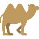 骆驼PNG图标