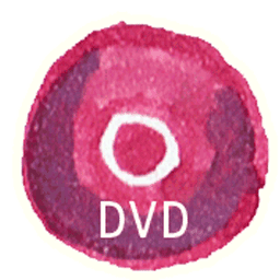 DVD 