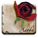 õ 