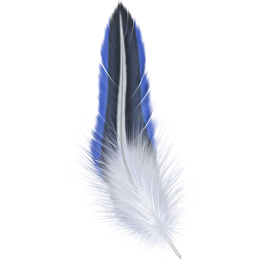 Ưë