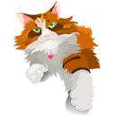 cat è