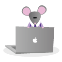 老鼠开电脑