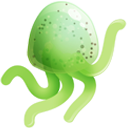 ˮĸ