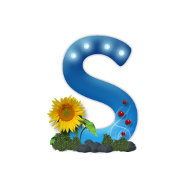 ĸS