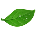 Ҷ