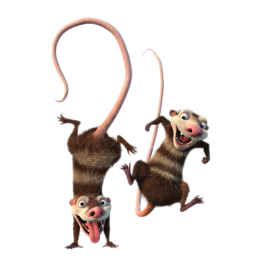 ʲCrash&ϣEddie 