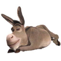 ¿