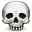 skull